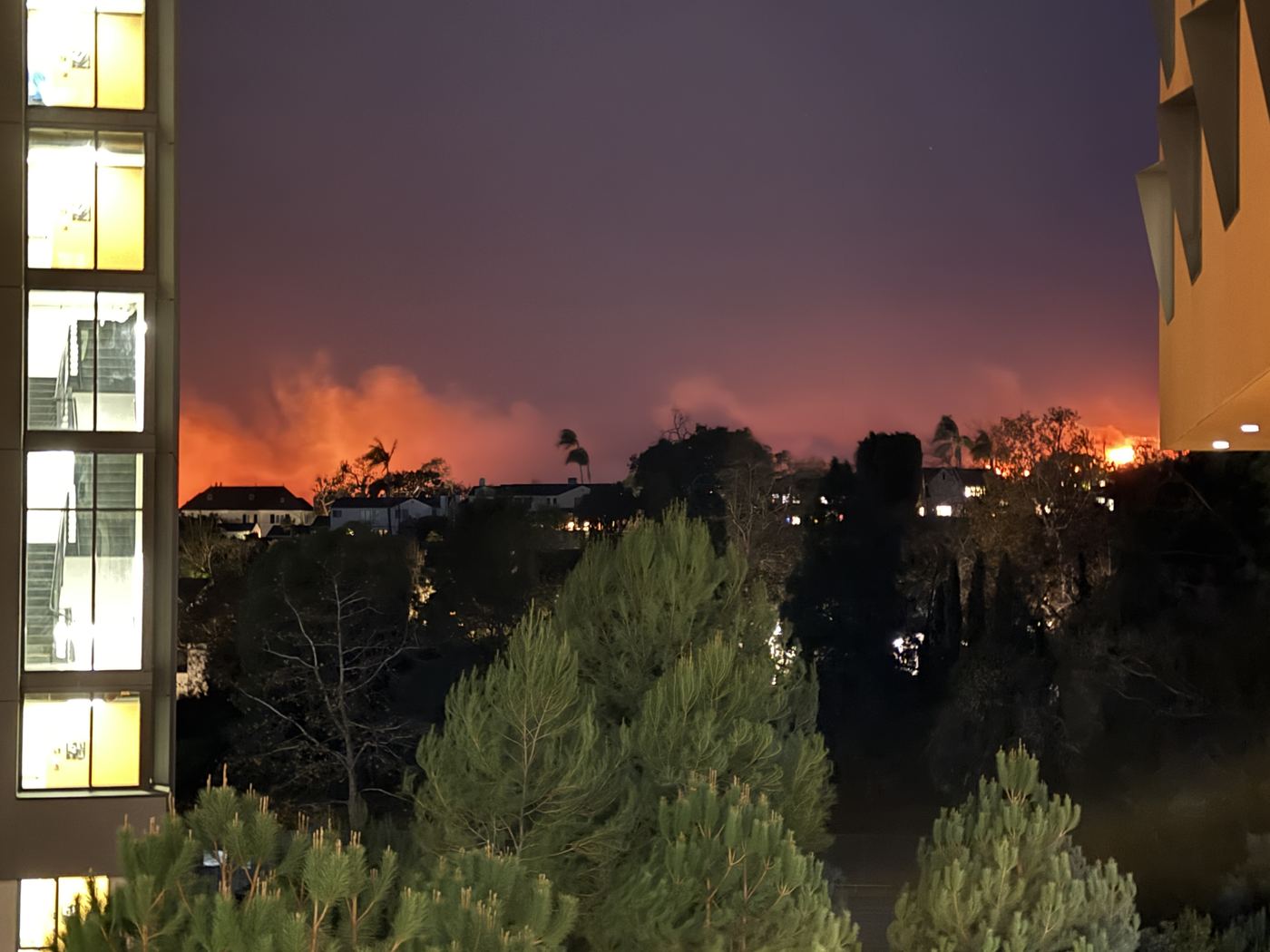 Night sky glowing orange over a residential hillside, the Palisades Fire seen from UCLA.